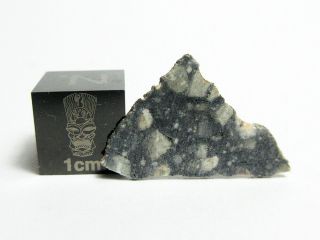 Nwa 11421 0.  30g Feldspathic Breccia Lunar Meteorite Moon Slice