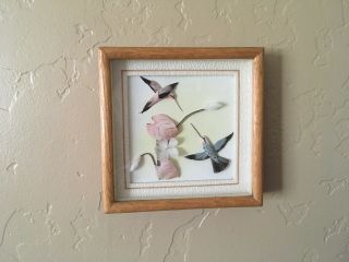Vintage Chinese Feather Art Hummingbirds & Flowers Framed 3 - D Picture