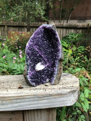 Large Grade A Captivating Uruguayan Amethyst Cluster (3lb 1oz) - 6.  5 Inches Tall -