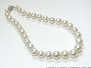 Hi Grade 14 - 10.  6mm Cultured South Sea Pearl Necklace Platinum Diamond Luxury 2