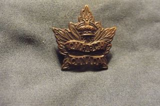 `ww I Cef Collar Badge The 2nd Canadian Mounted Rifles (british Columbia Horse)