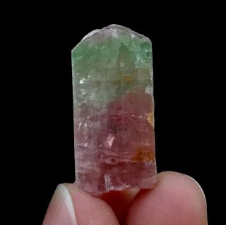 29 C.  T Top Class Damage Terminated Bi Color Watermelon Tourmaline Crystal