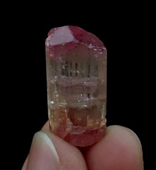 Wow 32 C.  T Top Class Damage Terminated Pink Watermelon Tourmaline Crystal