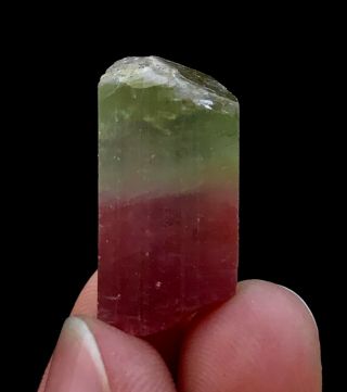 35 C.  T Top Class Damage Terminated Bi Color Watermelon Tourmaline Crystal