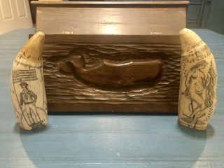 Scrimshaw Faux Whale Teeth,  Whalers Wood Box