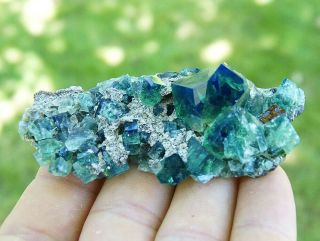 Gemmy green/blue Fluorite twinned crystals on matrix from Rogerley Mine - UK 3