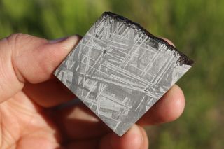 Muonionalusta Meteorite Etched Part Slice 32.  2 Grams