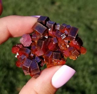 Sweet Miniature Of Lustrous Dark Fire Red Vanadinite Crystals On Matrix