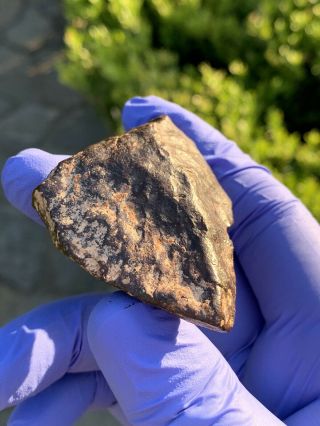 Meteorite NWA,  Unclassified 56.  09 Grams,  Regmaglypted Individual 3