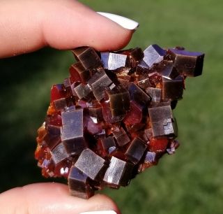Lqqk Sweet Lustrous Dark Cherry Red Vanadinite Crystals On Matrix From Morocco