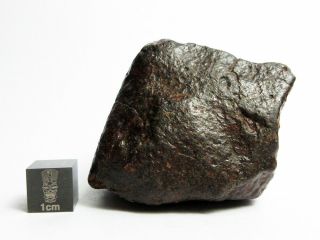 Nwa X Meteorite 125.  55g Superbly Shaped Stony Space Rock