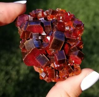 Lustrous Large Cherry Red Vanadinite Crystals On Matrix From Morocco Wow (: