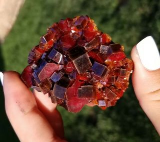 Lustrous Large Cherry Red Vanadinite Crystals On Matrix From Morocco WOW (: 2