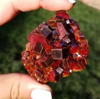 Lustrous Large Cherry Red Vanadinite Crystals On Matrix From Morocco WOW (: 3
