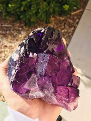 Illinois Fluorite Etched Cube Purple Mineral Specimen Natural