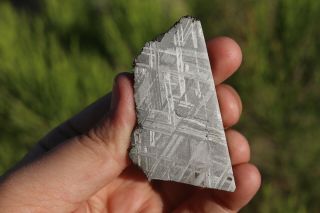 Muonionalusta Meteorite Etched Part Slice 29.  4 Grams