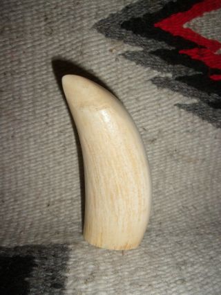 Artek Blank Resin Whale Tooth