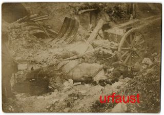 German Wwi Shell Explosion Dead Horse And Soldier 1918 Photo
