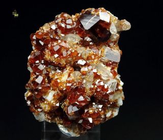 Quebul Fine Minerals - Gem Garnet Var.  Spessartine,  Quartz - Tongbei,  China