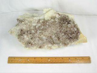 Large Lustrous Smoky Quartz Crystal Cluster Specimen – Diamond Hill S.  C.  7lbs 10
