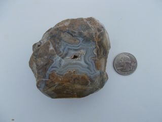 Strange Large Fairburn Agate (9.  4 Oz. ) From The Cheyenne River,  South Dakota
