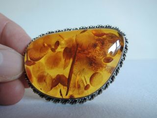 Vintage Natural Baltic Amber And Silver Brooch Seed Pods