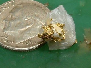 California Gold Quartz Specimen Natural Gold Nugget 1 Gram Gold In Quartz