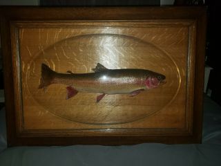 Vintage 26in.  Real Skin Cutthroat Trout Taxidermy Fish Mount Schwarz Studio 1920