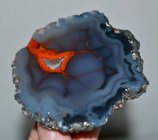 80 Mm Blue Crater Agate Red Fox Botryoidal Orellanita From Patagonia Argentina