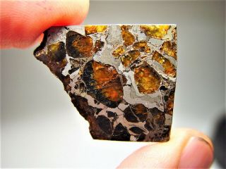 Museum Quality Crystals Brahin Pallasite Meteorite 8 Gms