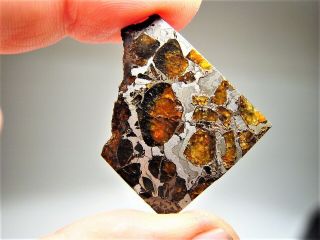 MUSEUM QUALITY CRYSTALS BRAHIN PALLASITE METEORITE 8 GMS 2