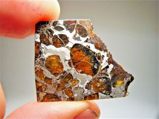 MUSEUM QUALITY CRYSTALS BRAHIN PALLASITE METEORITE 8 GMS 3