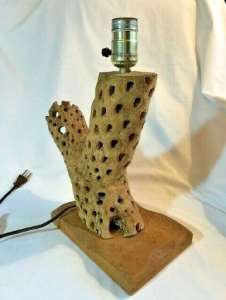 Vintage Cholla Saguaro Cactus Wood 13” Electric Lamp Southwest Western Cowboy