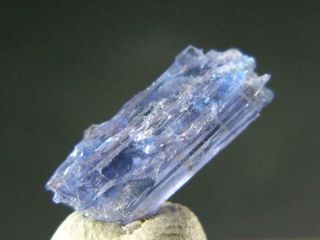 Rare Gem Jeremejevite Crystal From Namibia - 1.  5cm - 2.  50 Carats