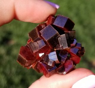 Sweet Miniature Specimen With Lustrous Dark Red Vanadinite Crystals On Matrix 2