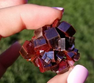 Sweet Miniature Specimen With Lustrous Dark Red Vanadinite Crystals On Matrix 3