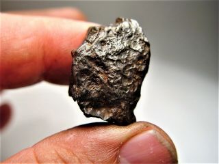 Nicely Shaped Specimen Dronino Ataxite Iron Meteorite Individual 33.  9 Gms