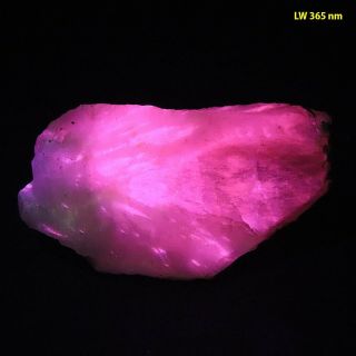 Bb: Calcite W/ Crazy Multicolor Fluorescence & Phosphorescence From Mexico