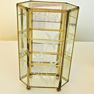 Small Curio Cabinet For Treasures Miniatures Glass Brass Mirrors Flowers 10 X 6 "