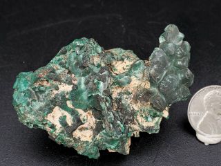 54g,  2.  25 " (5.  7cm) Old Stock Malachite From Bisbee,  Az 1970s