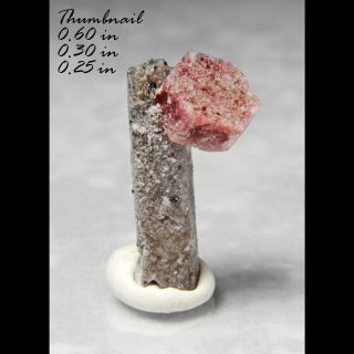 Red Beryl Bixbite On Topaz Thomas Range Utah Minerals Crystals Gem - Thn