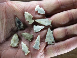 Group Of 10 Colorful Late Woodland Arrowpoints,  Adams County,  Illinois X Browner