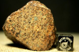 Nwa Unclassified Meteorite 59.  9 Gram Windowed Individual - Chondrules