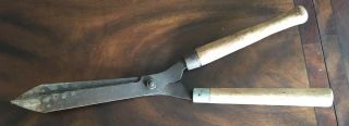 Antique Primitive Hedge Tree Branch Clippers With Wooden Handles Old Vtg Decor