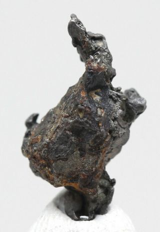 RARE Admire Iron Meteorite Pallasite Skeleton Olivine Specimen Meteor KANSAS 3