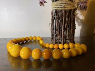 Vintage Baltic Butterscotch Amber Bead Necklace Not Pressed 22.  5 "