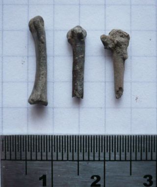 3 X Fossil Bird Bones,  Eocene,  London Clay,  Isle Of Sheppey,  Uk