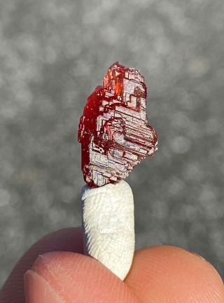 Gem Red Etched Spessartite Garnet Crystal Spessartine Navegador Mine,  Brazil 2