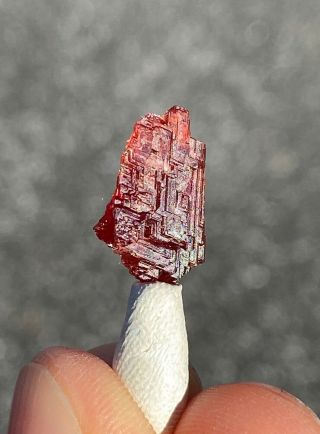 Gem Red Etched Spessartite Garnet Crystal Spessartine Navegador Mine,  Brazil 3