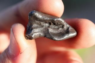 Sikhote Alin Meteorite Individual 7.  9 Grams